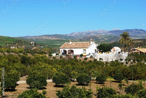 Photo: Farmhouse and orange grove, Alora, Spain © Arena Photo UK Farmhouse and orange grove, Alora, Spain © Arena Photo UK