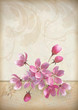 Vector: Realistic vector cherry blossom flower arrangement Realistic vector cherry blossom flower arrangement