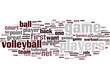 Coaching Volleyball Concept