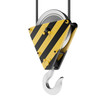 Crane hook