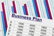 Businessplan