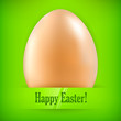 Vektor: Egg on green & text Egg on green & text