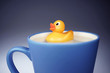 Ente in der Tasse