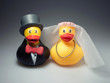Entenhochzeit