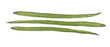 Drumstick Vegetable or Moringa
