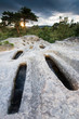 Necropolis of Cuyacabras, Quintanar de la Sierra, Sierra de la D
