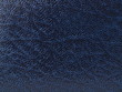 Blue skin texture