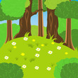 Glade in wood
