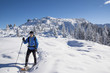 Schneeschuhwanderung in den Alpen