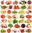 Vegetables on a white background