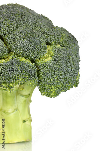 Photo: Fresh broccoli close-up isolated on white Fresh broccoli close-up isolated on white