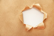 Torn kraft paper background