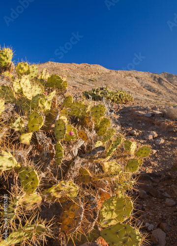 Photo: Fuerteventura, inland Fuerteventura, inland