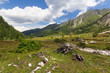 Ursprungalm Schladming