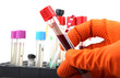 Scientist working at the laboratory