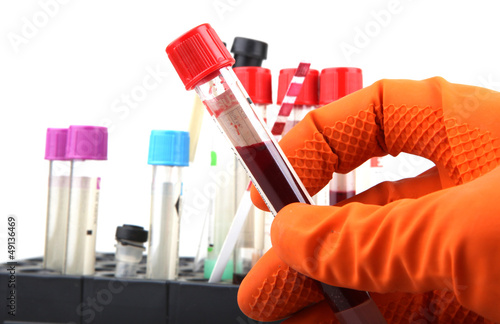 Photo: Scientist working at the laboratory Scientist working at the laboratory