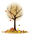 Autumn tree with falling leaves, maple leaves