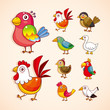 cartoon bird icon set