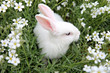 Frohe Ostern!