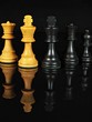 Schach, das königliche Spiel