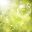 Soap bubbles on green natural background