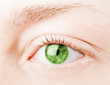 Human green eye. macro shooting