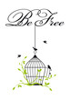 open birdcage with free birds, vector