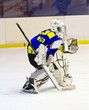 ice hockey goalie