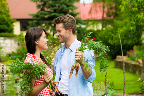 Photo: Gardening in summer - couple harvesting carrots Gardening in summer - couple harvesting carrots