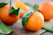 Mandarinen