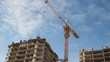 Lifting construction crane. construction site 