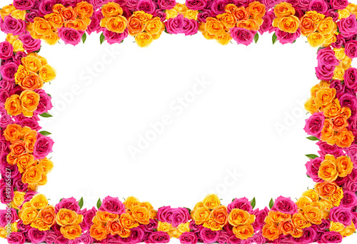 Photo: yellow and pink roses flowers blossom frame yellow and pink roses flowers blossom frame