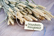 Gesundheitsmanagement