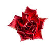 Red Rose