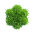 green grass multiplication signs