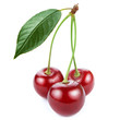 Cherry isolated on white background