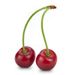 Two cherry isolated on white background