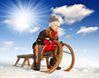 Photo: girl on a sleigh girl on a sleigh