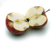 one wormy apple on a white table