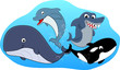 Sea Mammal Vector set