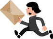 express package