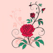 Stylish ornament rose, Valentine's day background. Element for d
