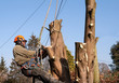 Man swinging from ropes