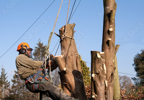 Photo: Man swinging from ropes Man swinging from ropes