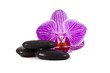 piedras y orquídea