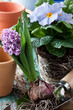Frühling