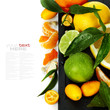 Citrus fruits border