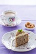 Piece of nut cake