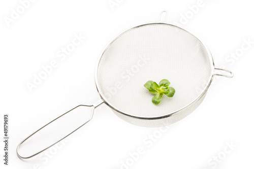 Photo: lamb's lettuce on strainer lamb's lettuce on strainer