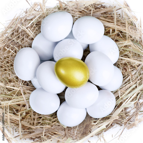 Photo: Gold investment eggs nest Gold investment eggs nest